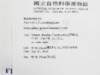 登錄號:F0012572藏品圖，第2張