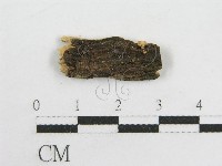登錄號:F0012572藏品圖，第1張