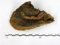登錄號:F0012573藏品圖，第3張