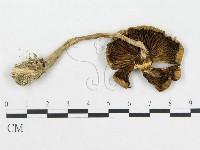 登錄號:F0012574藏品圖，第3張