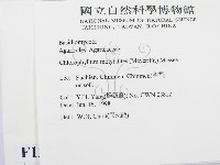 登錄號:F0012575藏品圖，第2張