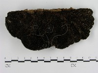 登錄號:F0012576藏品圖，第3張