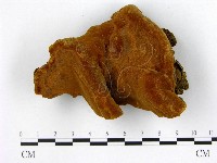 登錄號:F0012578藏品圖，第1張