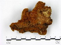 登錄號:F0012578藏品圖，第3張