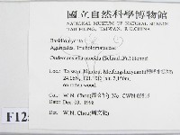 登錄號:F0012579藏品圖，第2張
