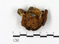 登錄號:F0012580藏品圖，第3張