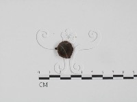 登錄號:F0012581藏品圖，第1張