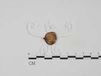 登錄號:F0012581藏品圖，第3張