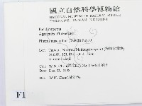 登錄號:F0012582藏品圖，第2張