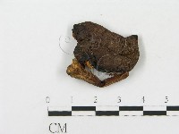 登錄號:F0012582藏品圖，第3張