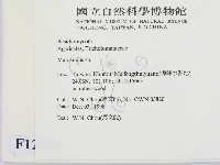 小皮傘屬藏品圖，第2張