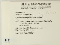 登錄號:F0012584藏品圖，第2張