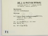 小菇屬藏品圖，第2張