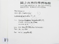 登錄號:F0012590藏品圖，第2張