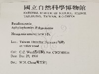登錄號:F0012593藏品圖，第2張