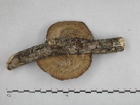 登錄號:F0012593藏品圖，第3張