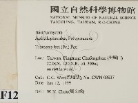 登錄號:F0012595藏品圖，第2張