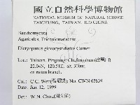 登錄號:F0012597藏品圖，第2張