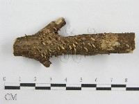 登錄號:F0012597藏品圖，第1張