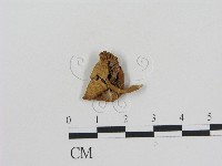 登錄號:F0012598藏品圖，第1張