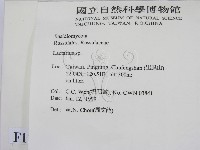 乳菇屬藏品圖，第2張