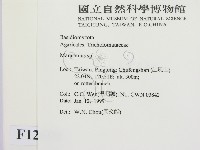 小皮傘屬藏品圖，第2張