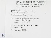登錄號:F0012601藏品圖，第2張