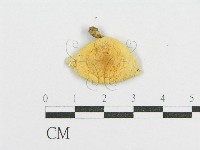 登錄號:F0012602藏品圖，第1張