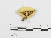 登錄號:F0012602藏品圖，第3張