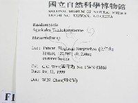 微皮傘屬藏品圖，第2張