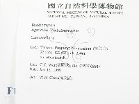 登錄號:F0012605藏品圖，第2張