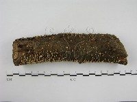登錄號:F0012609藏品圖，第3張