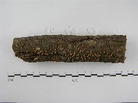 登錄號:F0012609藏品圖，第4張