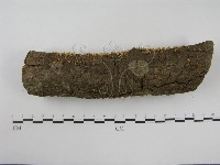 登錄號:F0012609藏品圖，第5張
