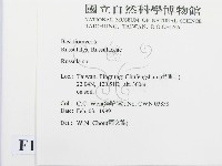 紅菇屬藏品圖，第2張