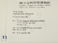 登錄號:F0012618藏品圖，第2張