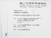 登錄號:F0012619藏品圖，第2張