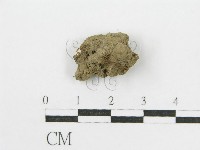 登錄號:F0012619藏品圖，第1張