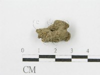 登錄號:F0012619藏品圖，第3張