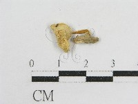 登錄號:F0012620藏品圖，第1張