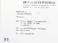 登錄號:F0012621藏品圖，第2張