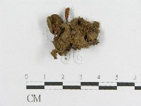 登錄號:F0012622藏品圖，第1張