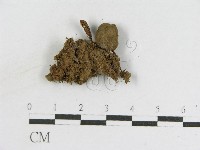 登錄號:F0012622藏品圖，第3張