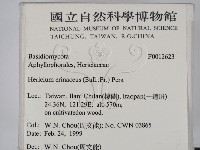 登錄號:F0012623藏品圖，第2張