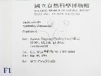 鬼傘屬藏品圖，第2張