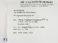 登錄號:F0012625藏品圖，第2張