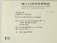 登錄號:F0012627藏品圖，第2張