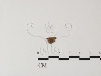 登錄號:F0012627藏品圖，第3張