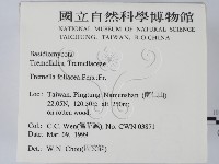 登錄號:F0012629藏品圖，第2張