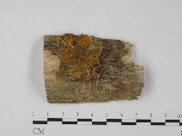 登錄號:F0012629藏品圖，第1張